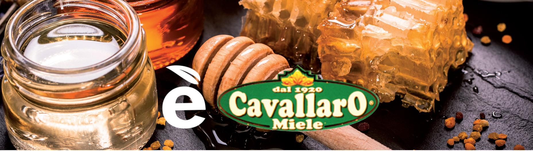 Cavallaro S.r.l.